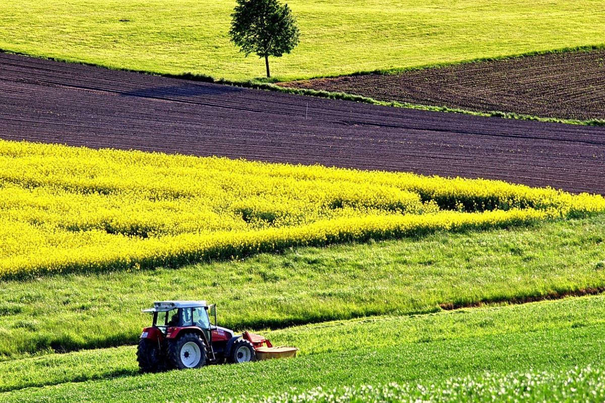 traktor na tle pola